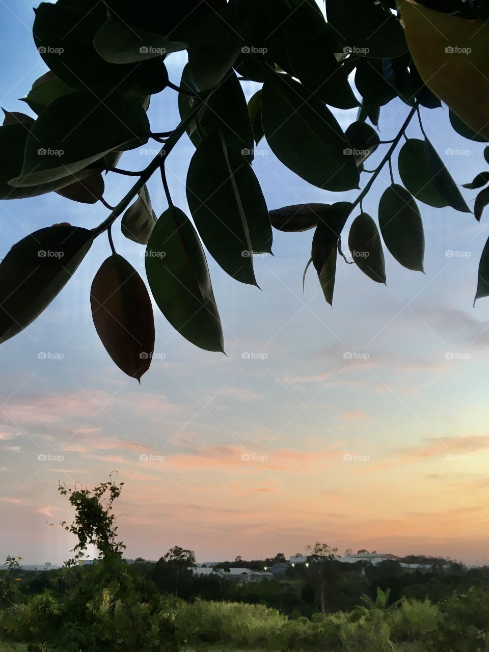 🌄🇺🇸 An extremely beautiful dawn in Jundiaí, interior of Brazil. Cheer the nature! / 🇧🇷 Um amanhecer extremamente bonito em Jundiaí, interior do Brasil. Viva a natureza! 