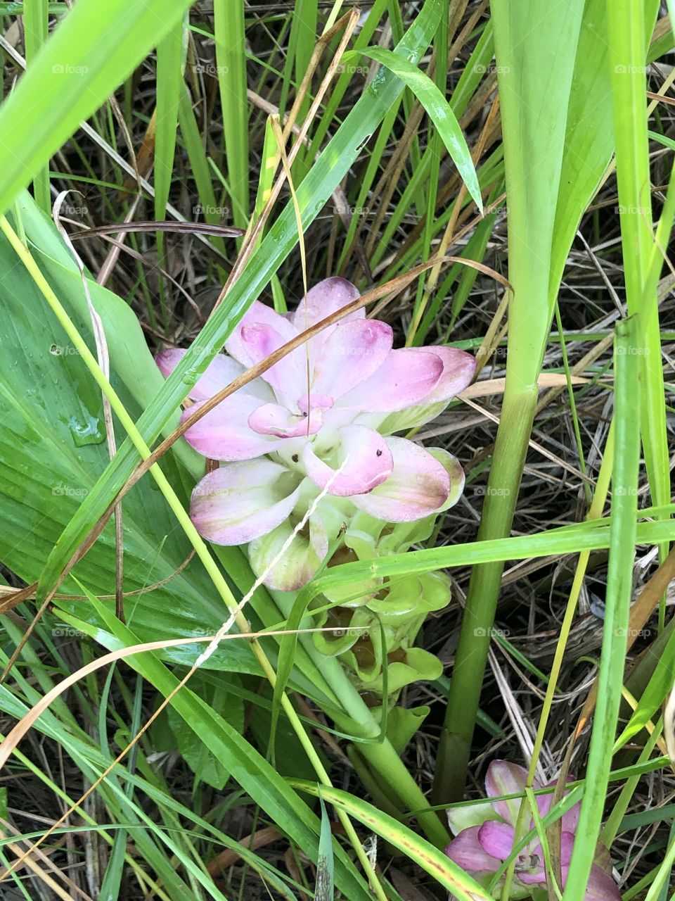 There you are beautiful