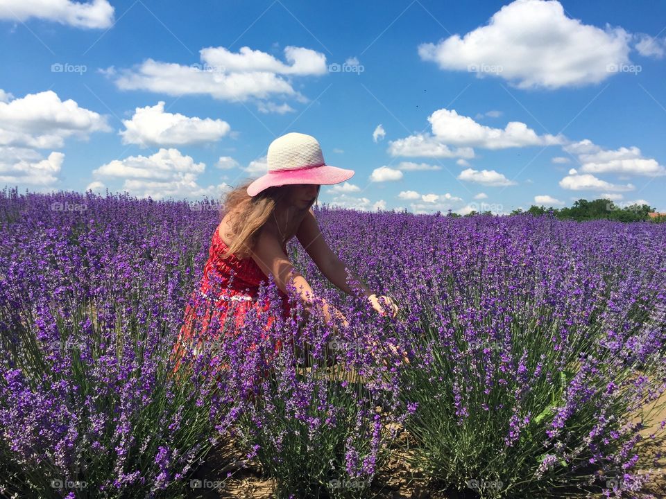 Woman wearing dress and summer hat in a lavender field harvesting lavender