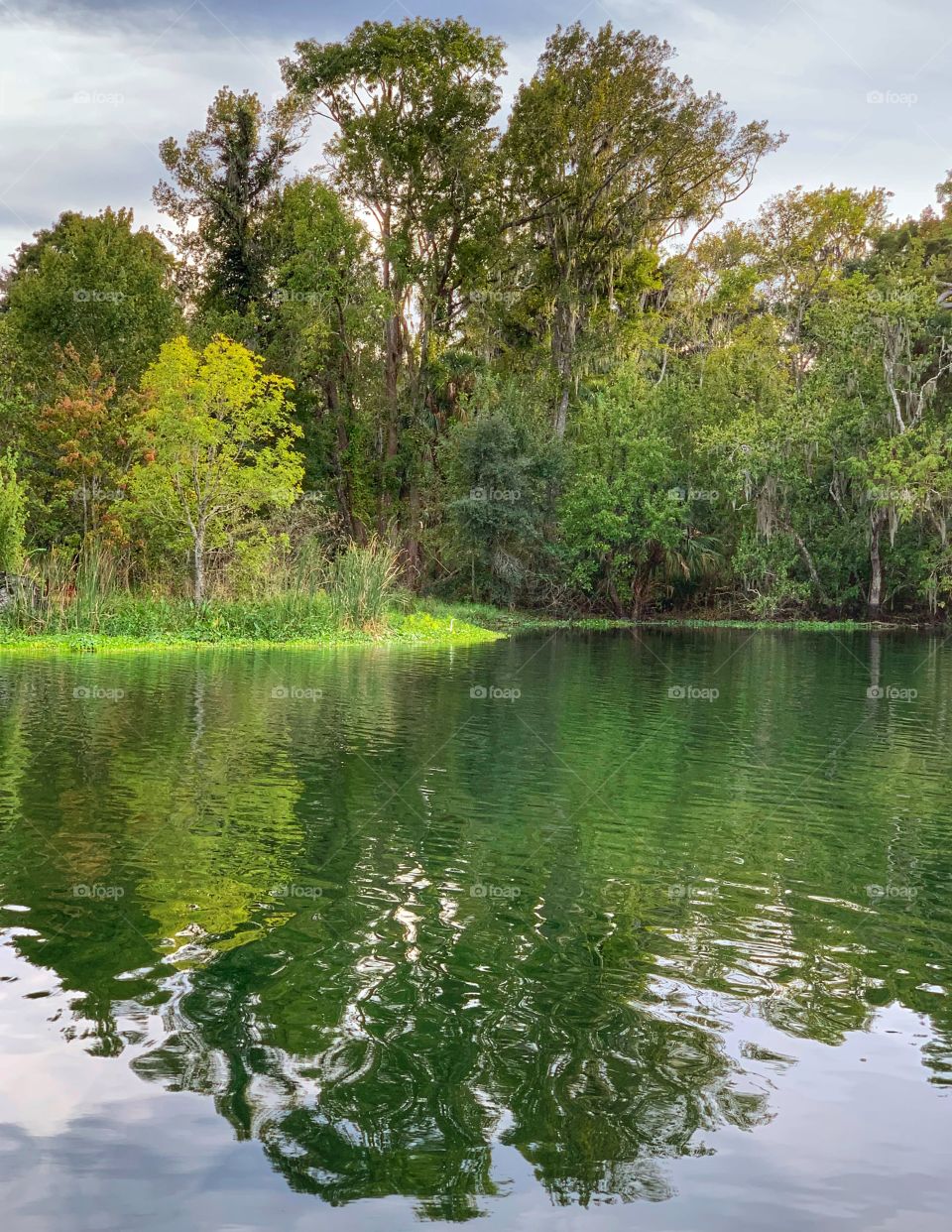 Water ... Nature’s Mirror