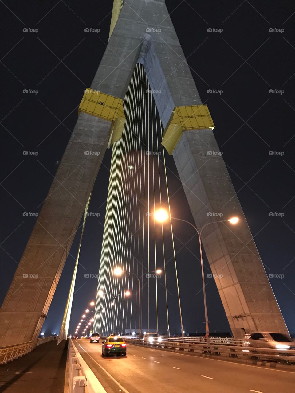The Rama VIII bridge 
