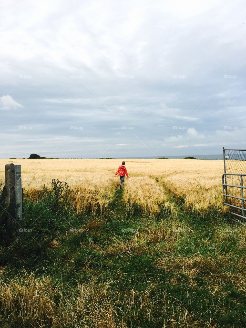 She walks in fields of gold