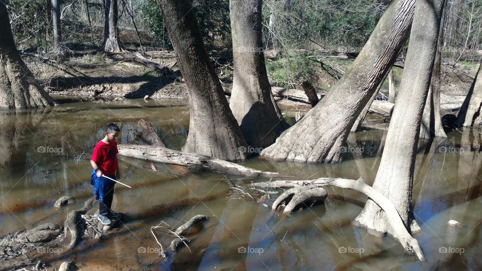 Water, Tree, Wood, Nature, River