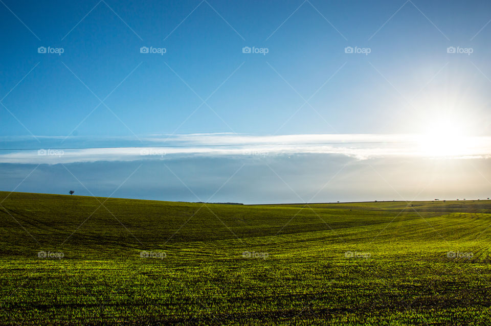 Landscape, Field, Sun, Nature, Grass