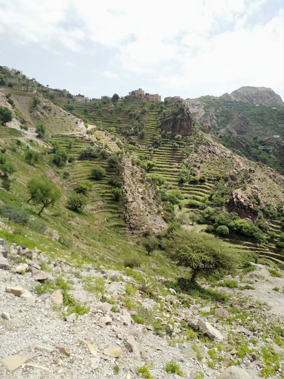Glory be to God, the magnificent and picturesque view and the natural green trees are a view that is nothing more wonderful than it