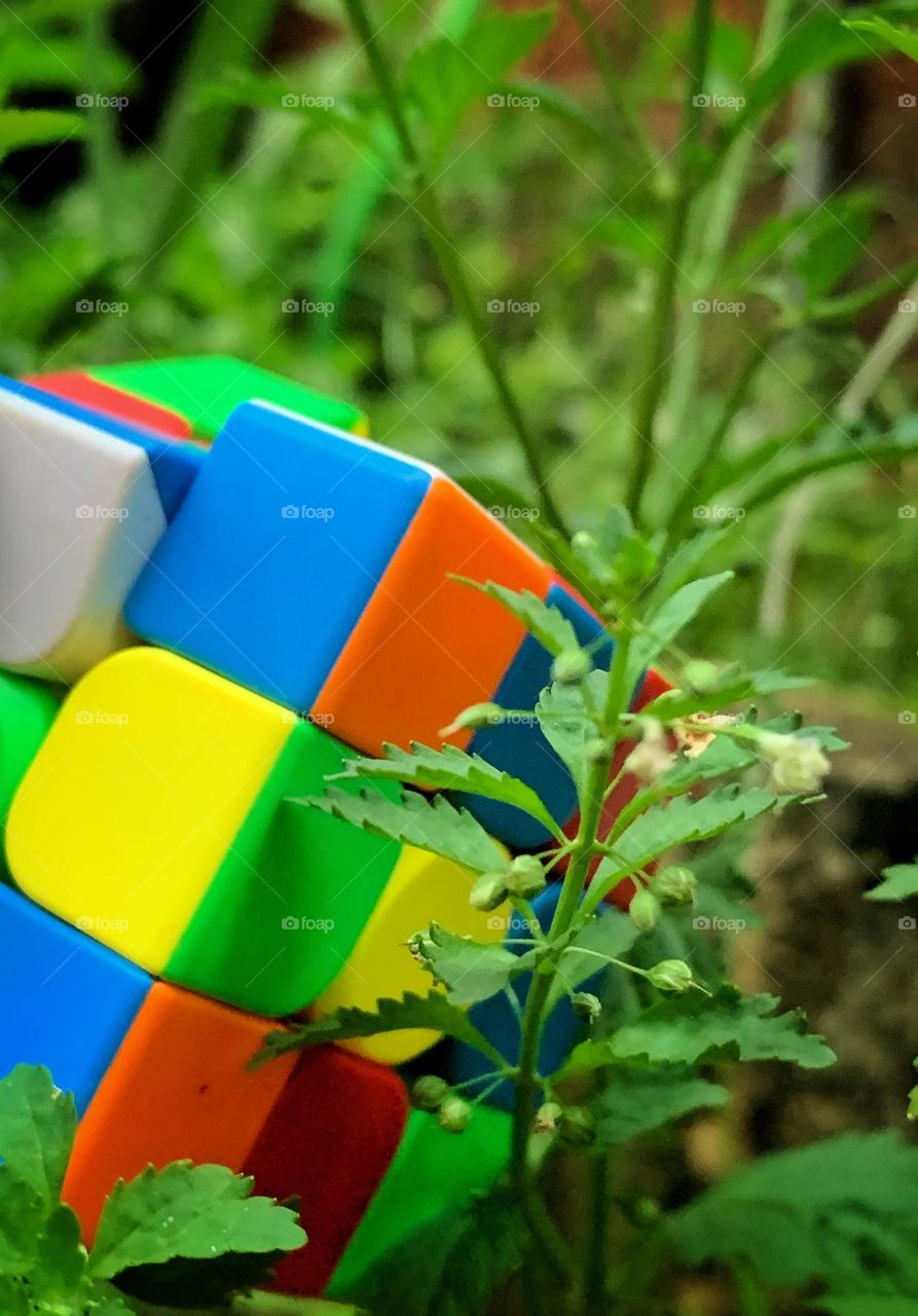 Rubik 