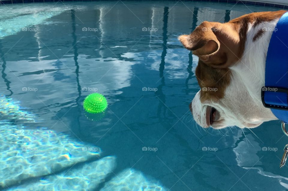 Winter Activities are a matter of location 