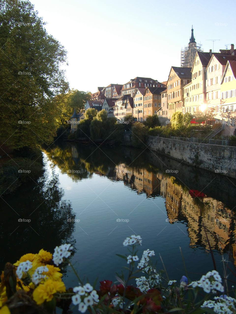 Neckar reflection