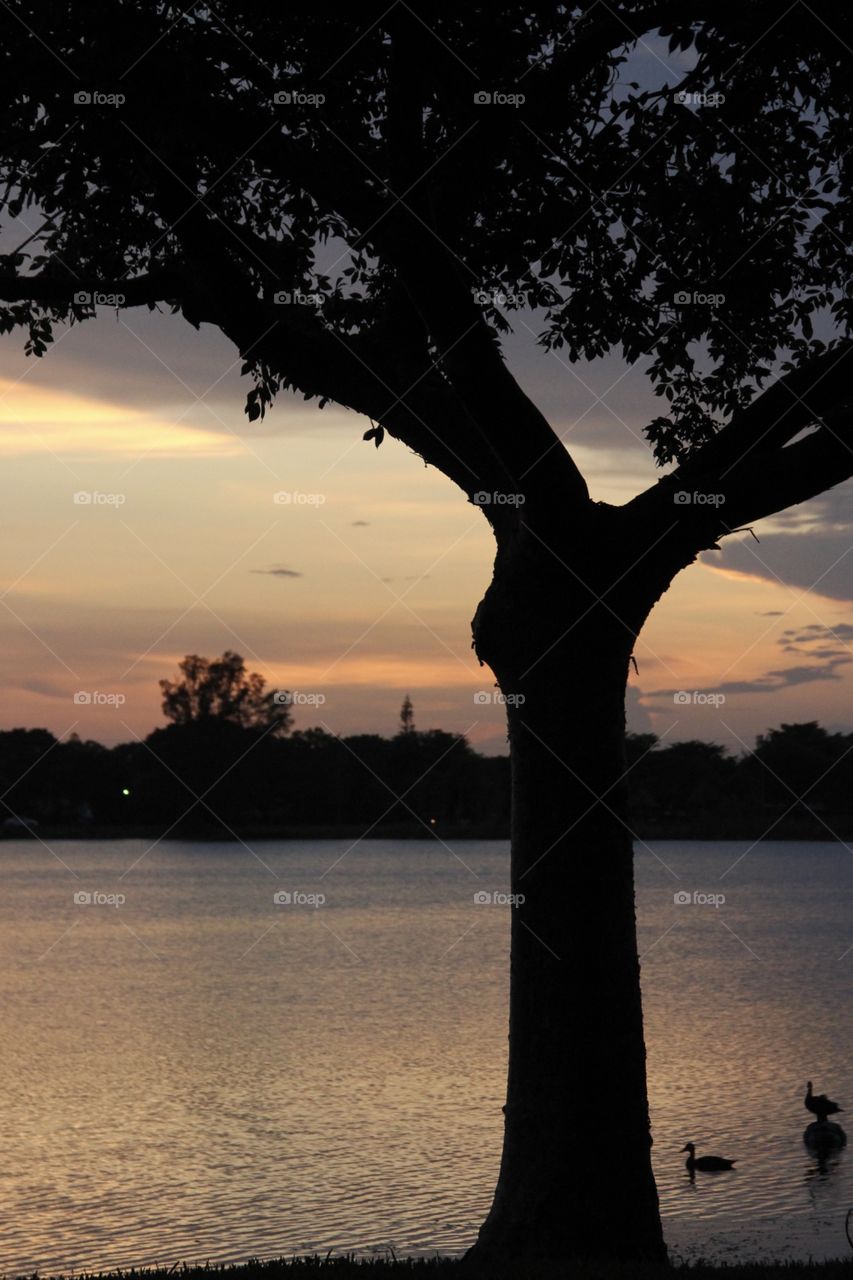 sunset lake 