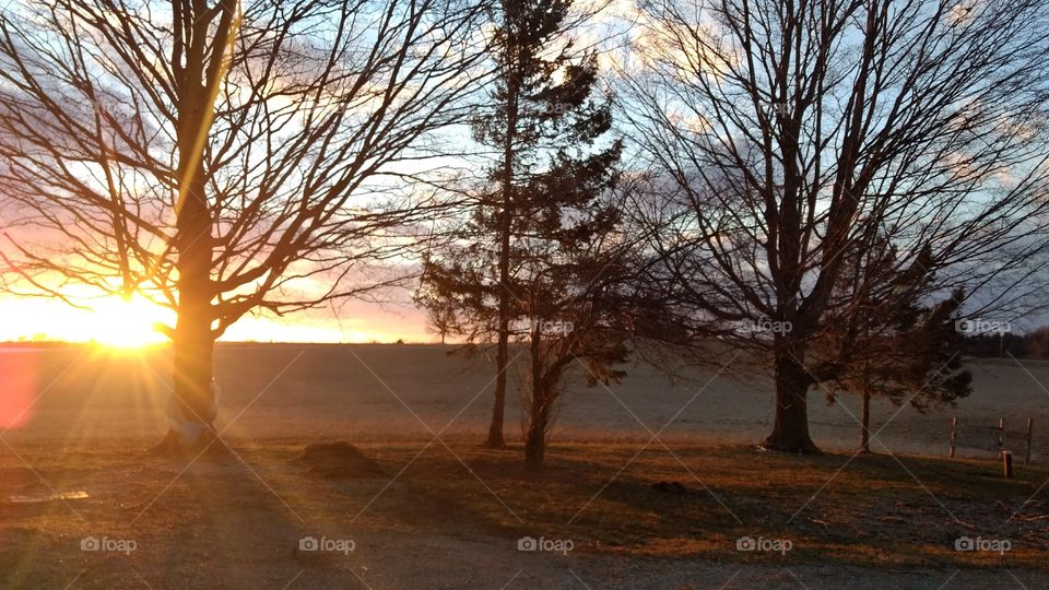 A Day In The Life Of A Farm