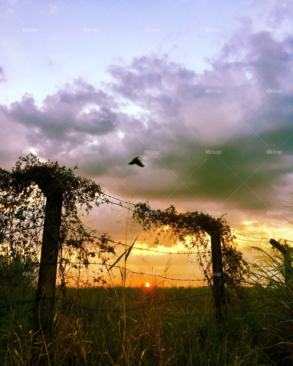 #Entardecer muito belo na #TerraDaUva!
Jundiaí, porque é bom viver por aqui.
🍇 
#natureza #sol #pordosol #fotografia #Jundiaí #AmoJundiaí