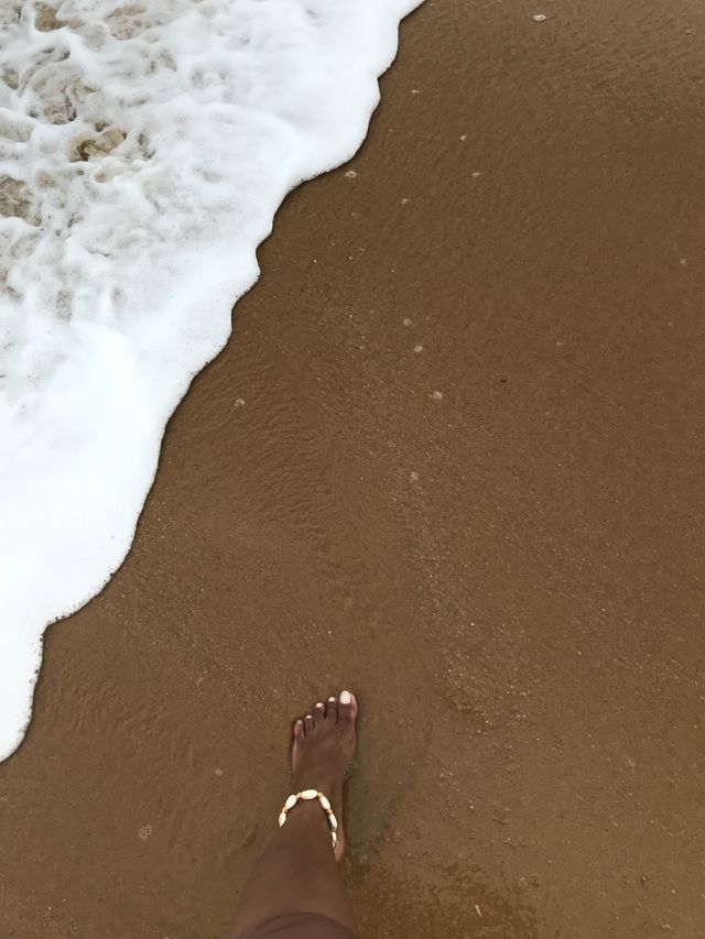 Seashore 