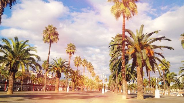 Barcelona sun