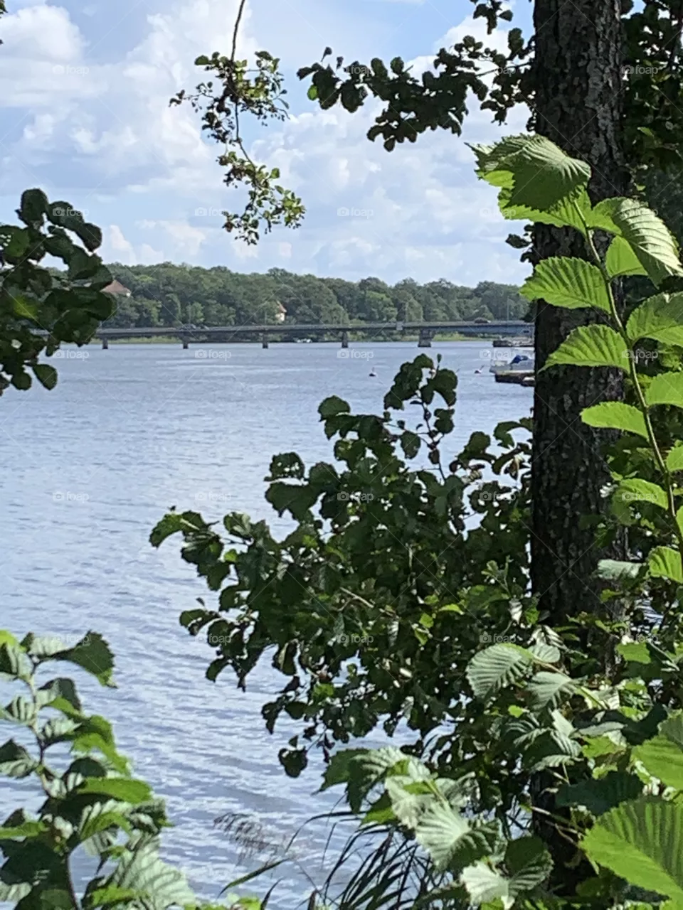 Lake view 