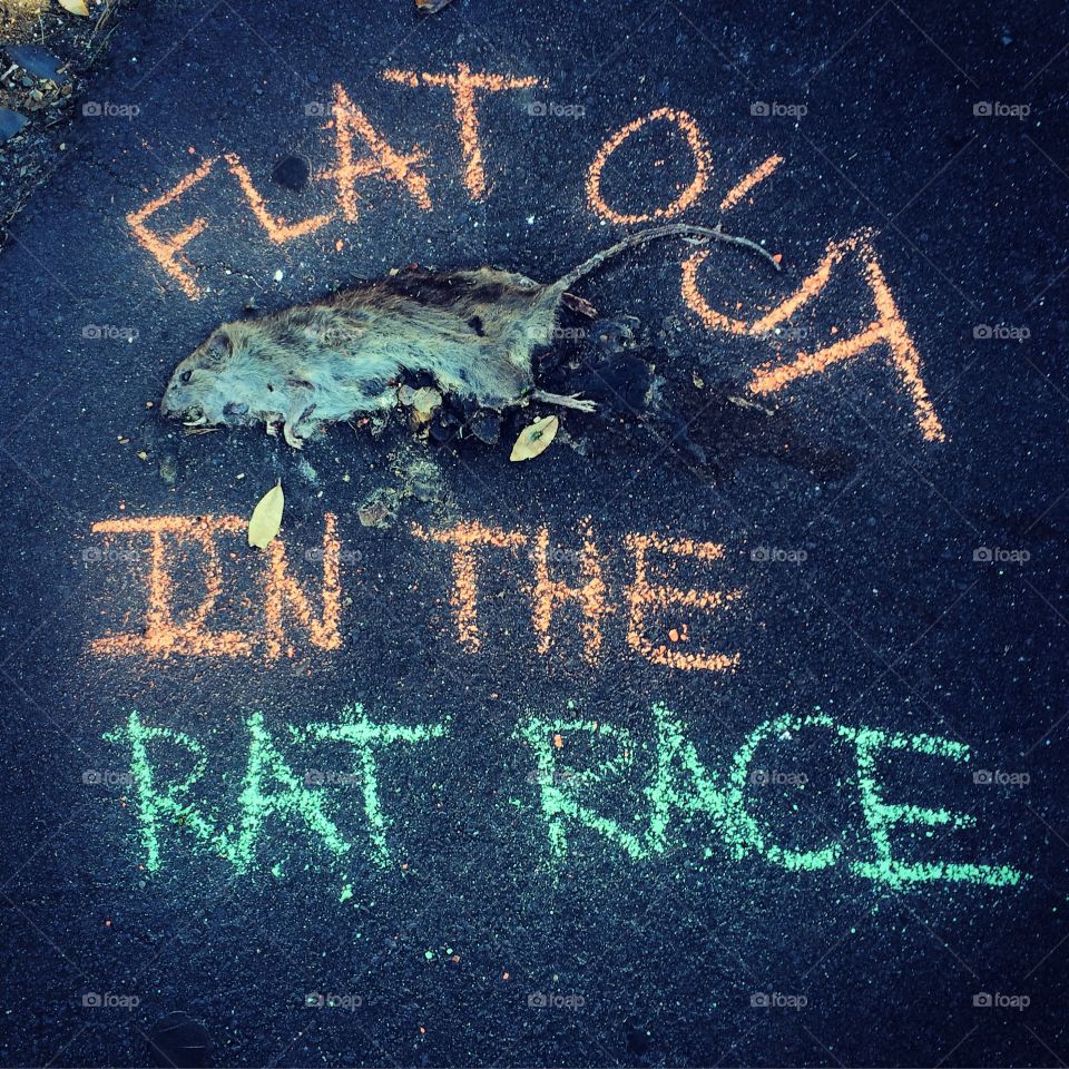 Flat Out in the Rat Race