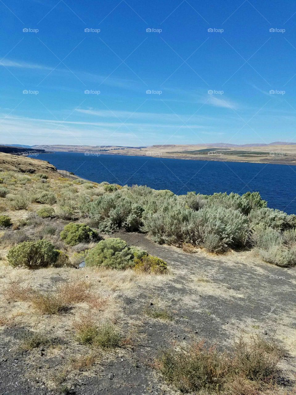 Scenic view of river