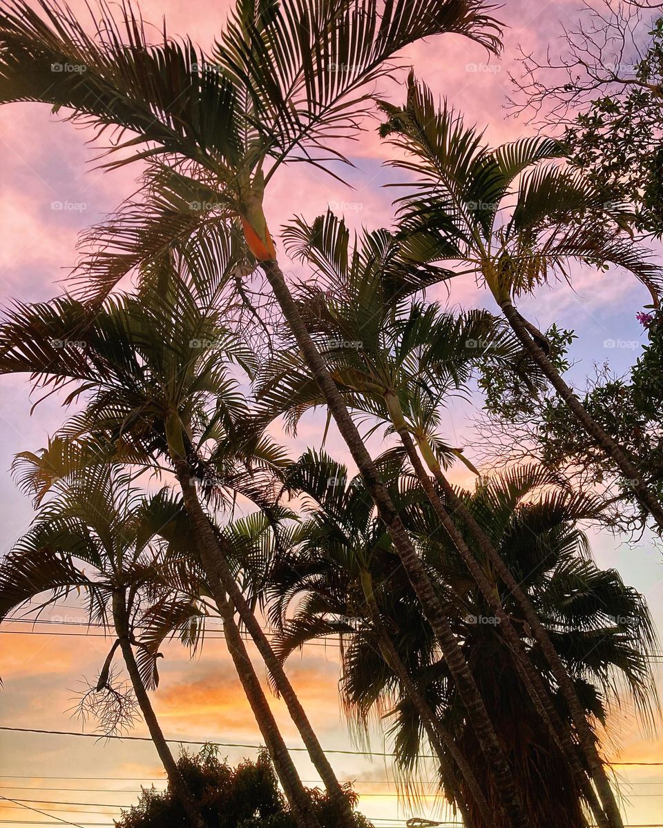 🌄🇺🇸 An extremely beautiful dawn in Jundiaí, interior of Brazil. Cheer the nature! / 🇧🇷 Um amanhecer extremamente bonito em Jundiaí, interior do Brasil. Viva a natureza!