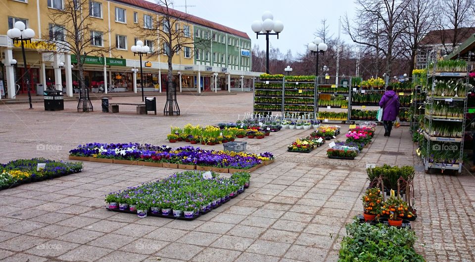 selling flowers at the square . selling flowers at the square 