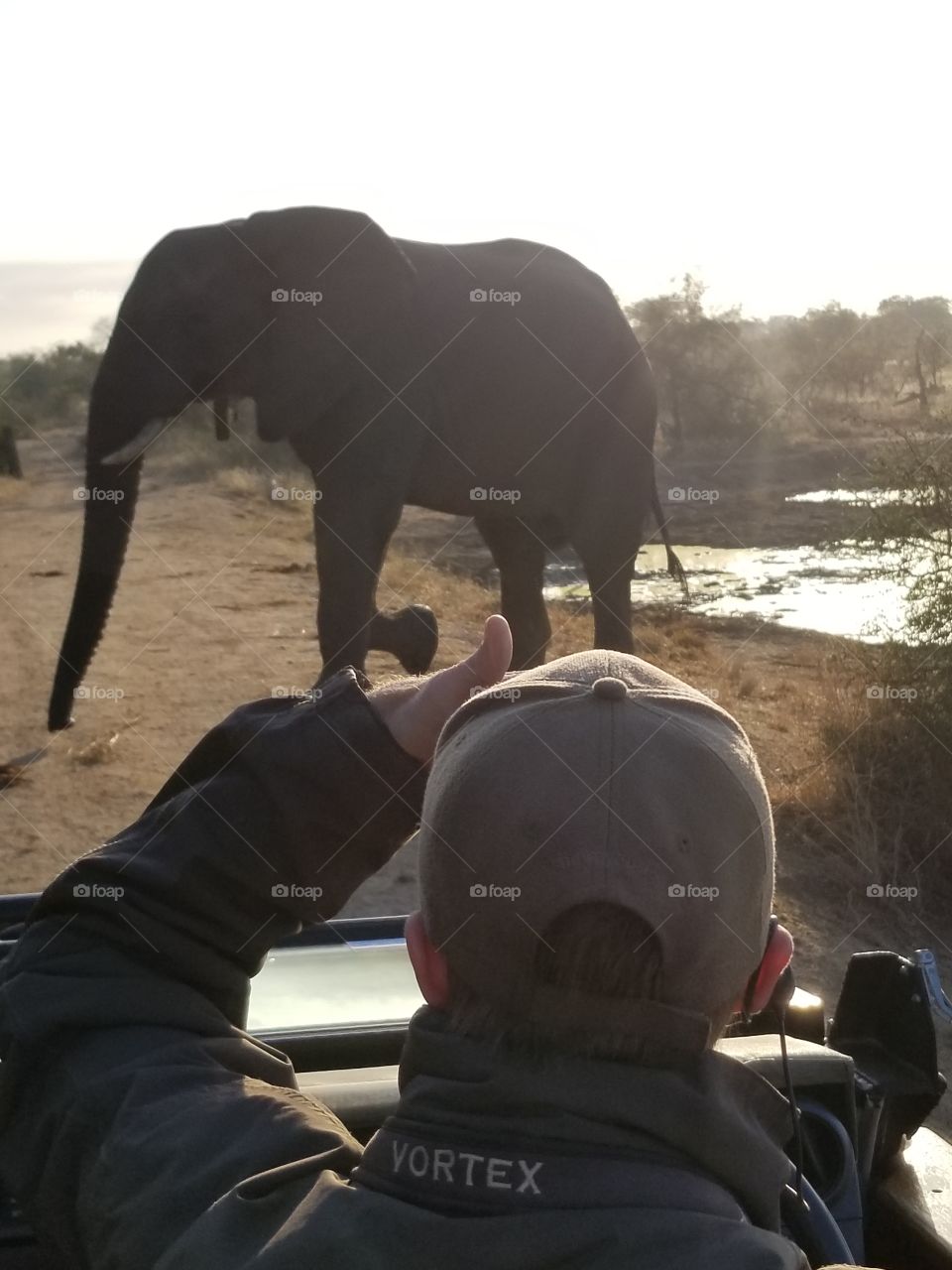 Boy watching an elephant on safari