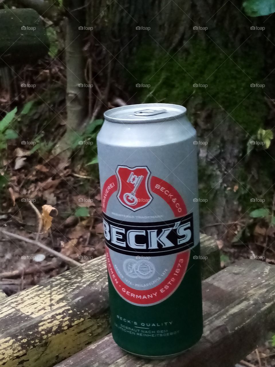 Вier Becks