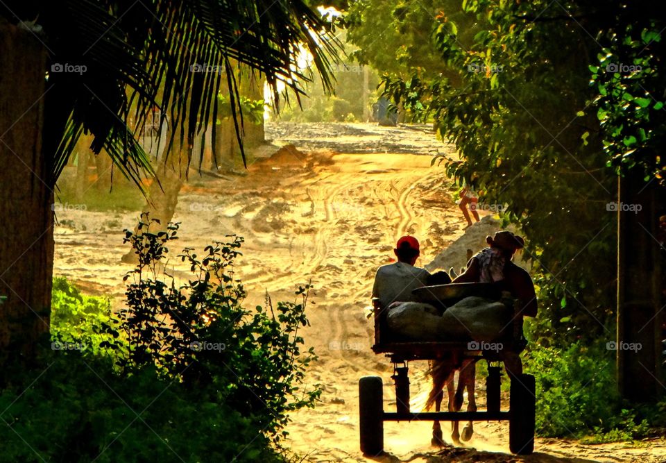 Rural living. A carriage on the Brazilian countryside