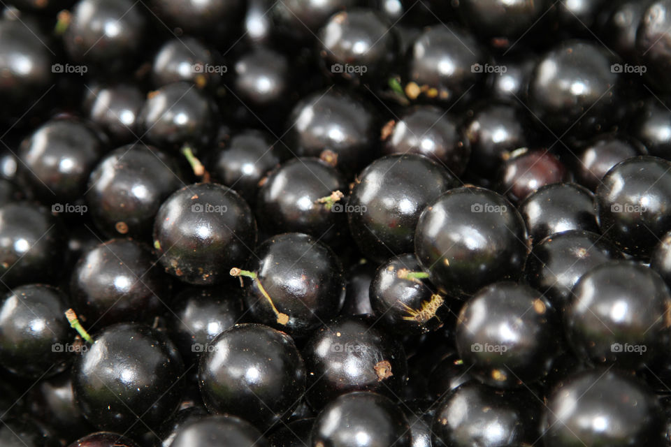 jabuticaba