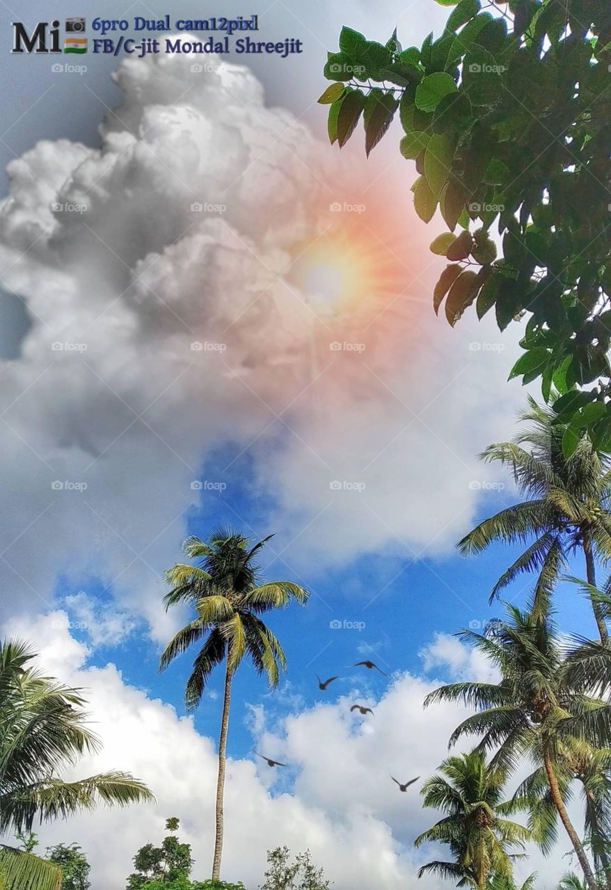 cloudstreet
clouds movie
cloudstreet menu
clouds lyrics
cloudsine
clouds quotes
clouds png
clouds wallpaper
clouds background
clouds drawing
clouds aesthetic