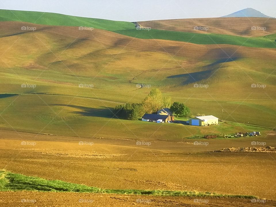 Small house in the field
