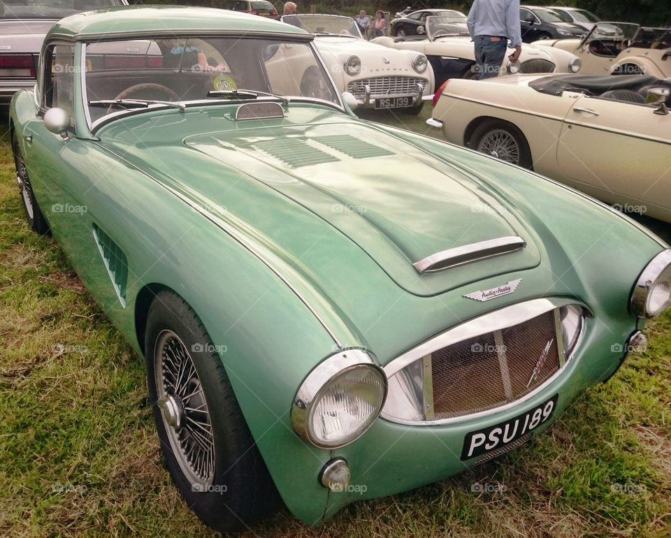 Austin Healey