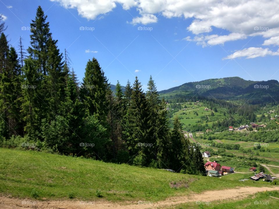 Carpathian mountains landscape