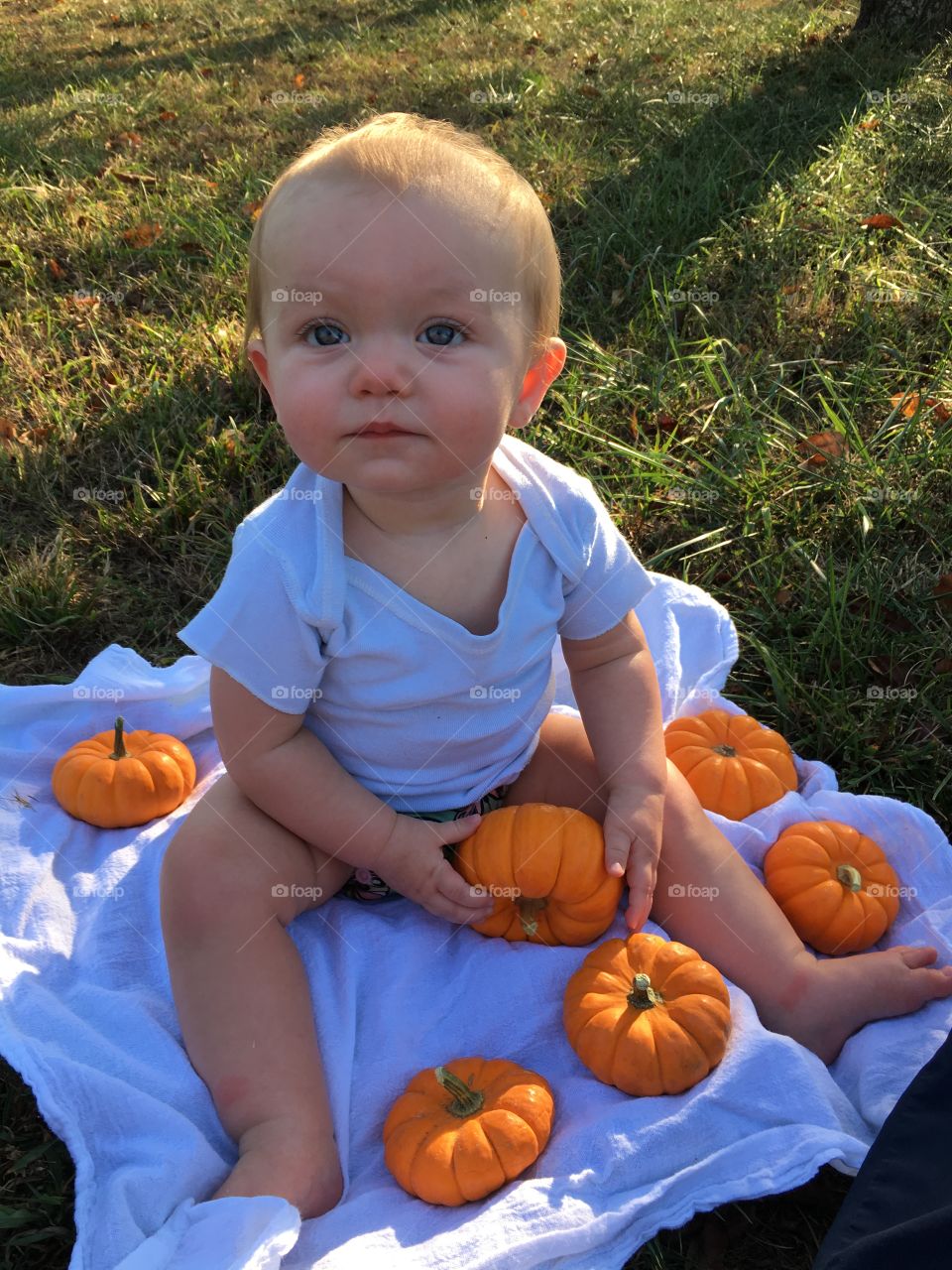 Baby sitting on blanket holding pumpkins