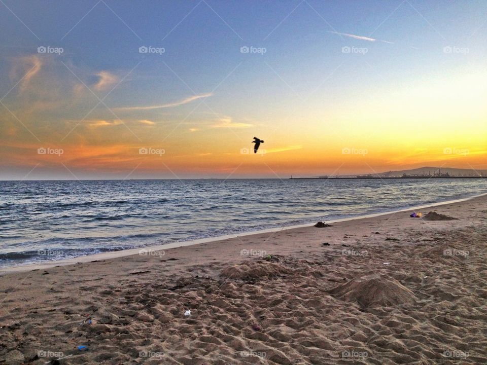 Beach Sunset