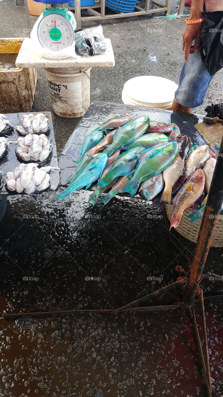 doraemon fish at semporna,sabah market