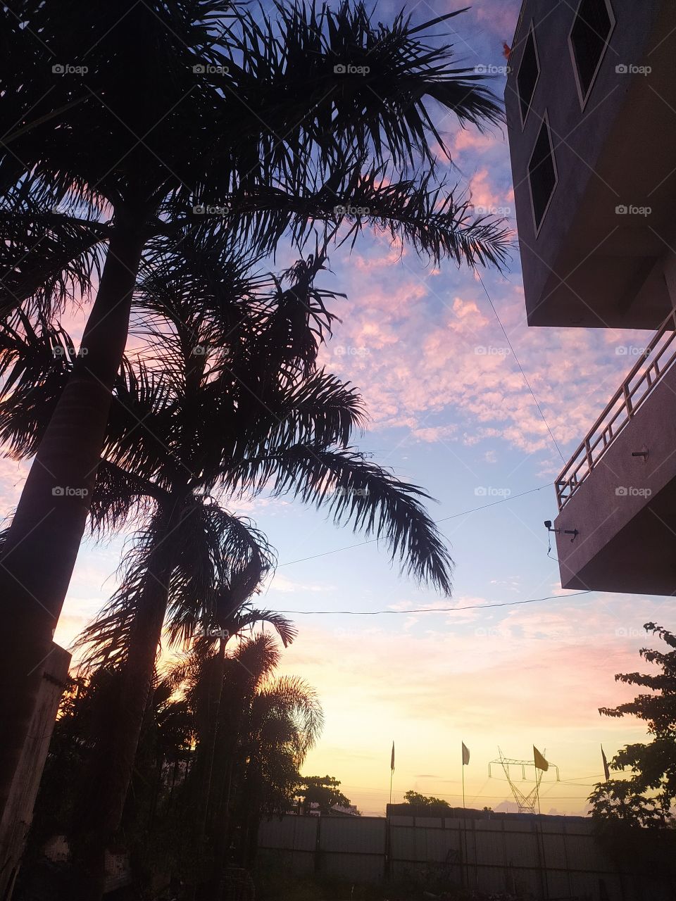 Evening nature aussum sky view piesful