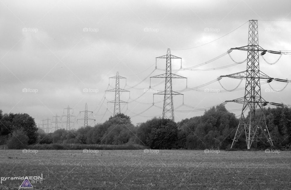 Field of Pylons