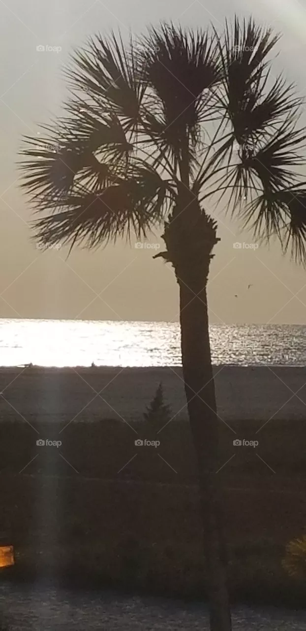 Treasure Island  Florida