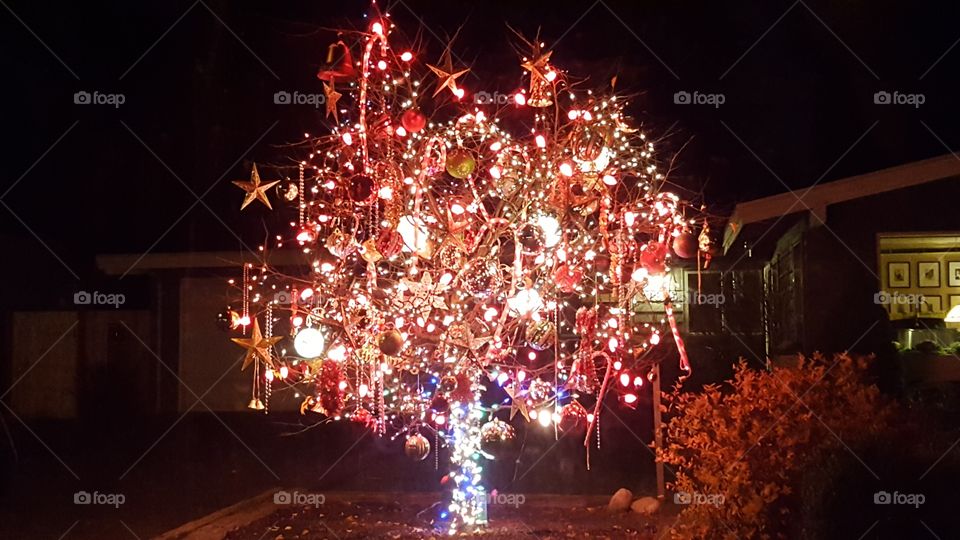 a tree decorated to the very maximum