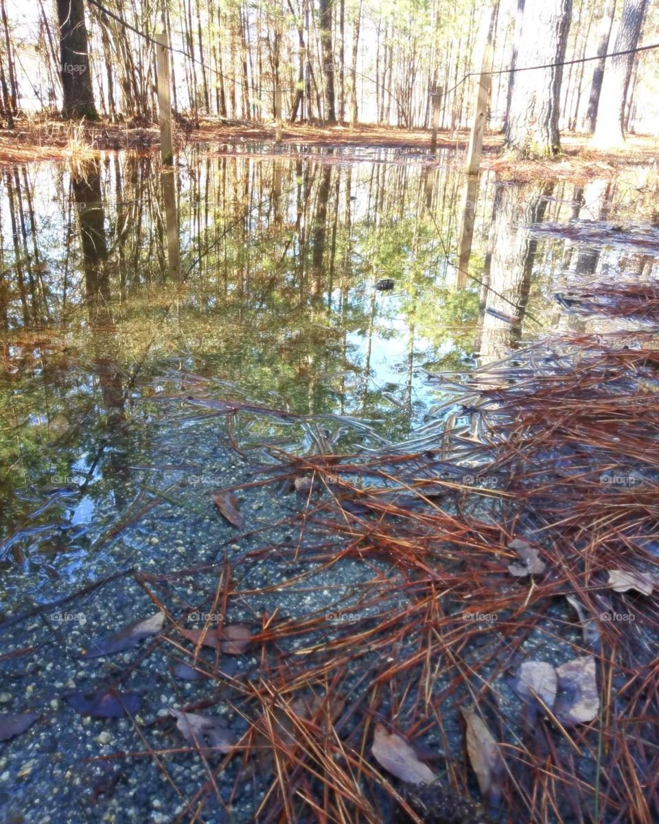 Flooded Trail