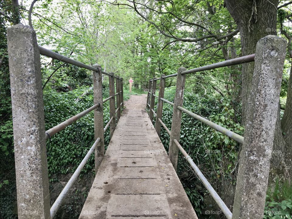 Footbridge over my local beck .... Spring Season 