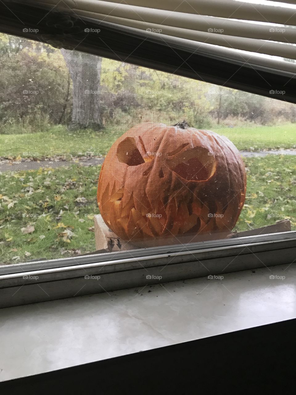 Carved pumpkin in the window 