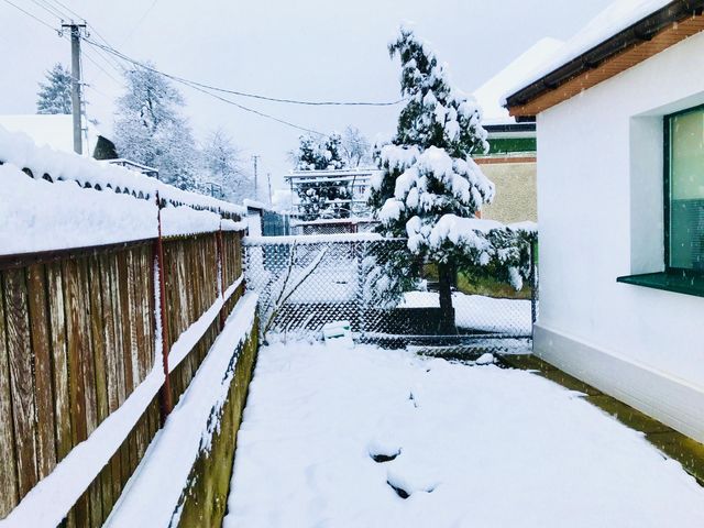 Snow
