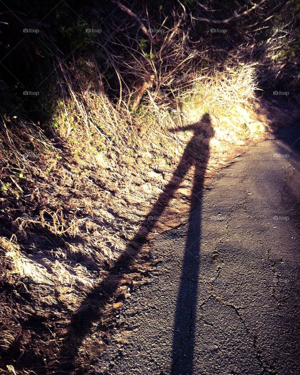 My shadow