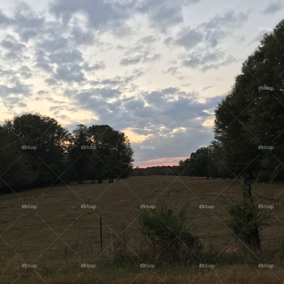 Pastoral pasture