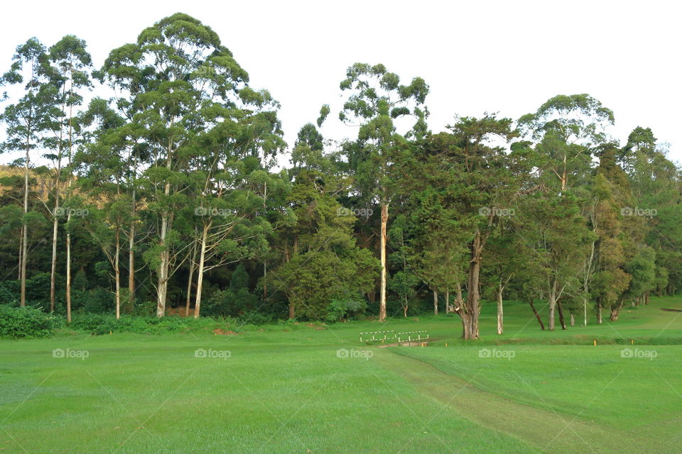 golf ground nuwaraeliya
