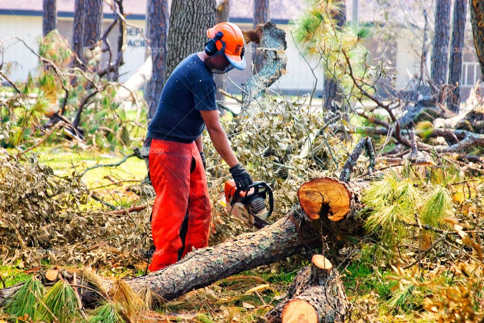 Civil Engineer saws branch felled by Hurricane Katrina 