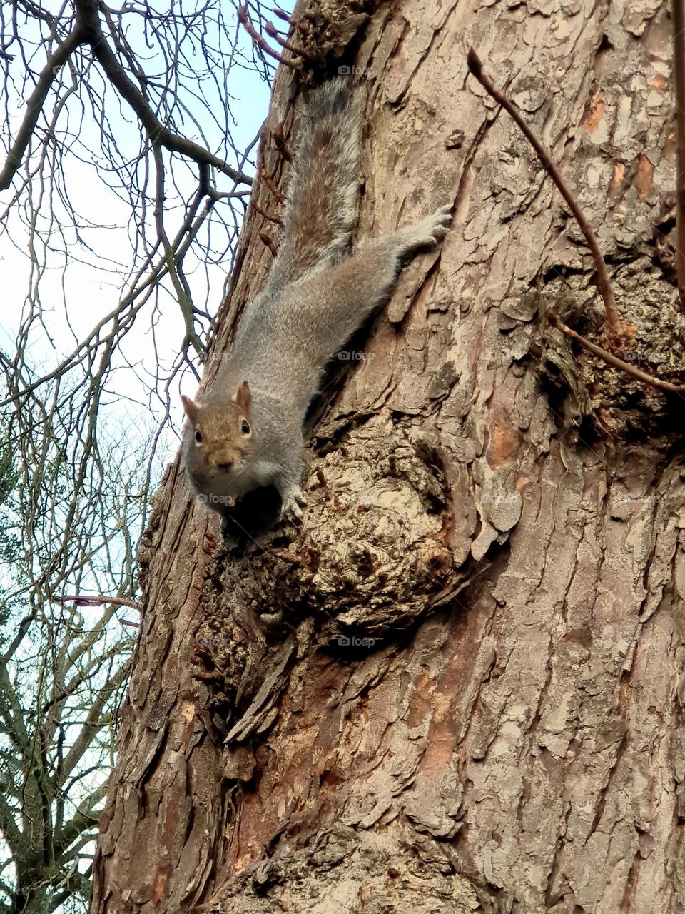squirrel checks the floor people out