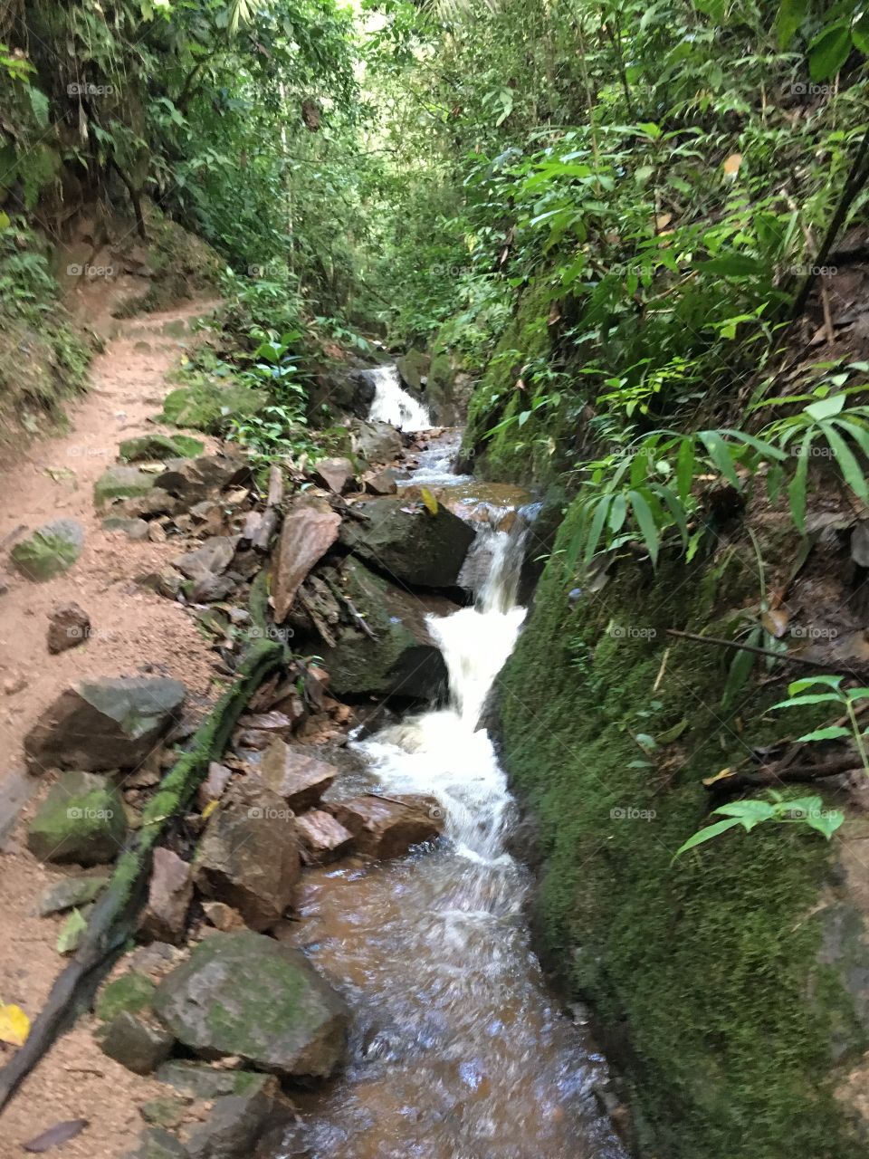 small babbling stream in the beautiful mountains of Peru