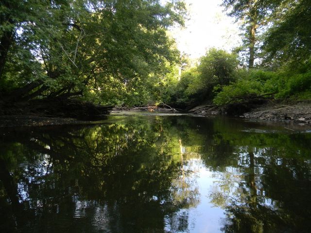 Reflection