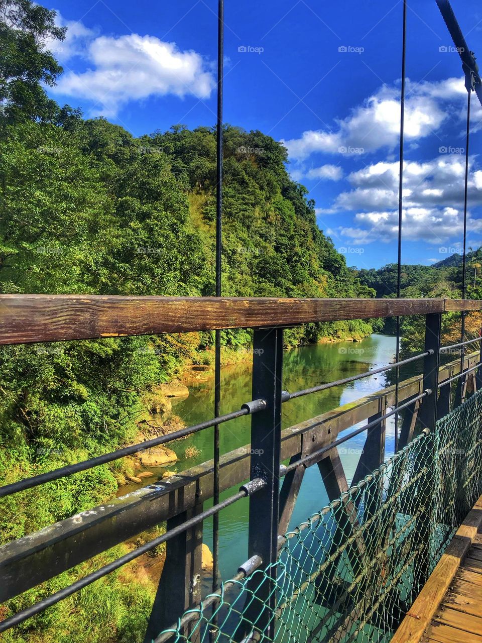 Connecting worlds, one step at a time: Discover the elegance and allure of this timeless bridge, perfect for creating lasting memories.