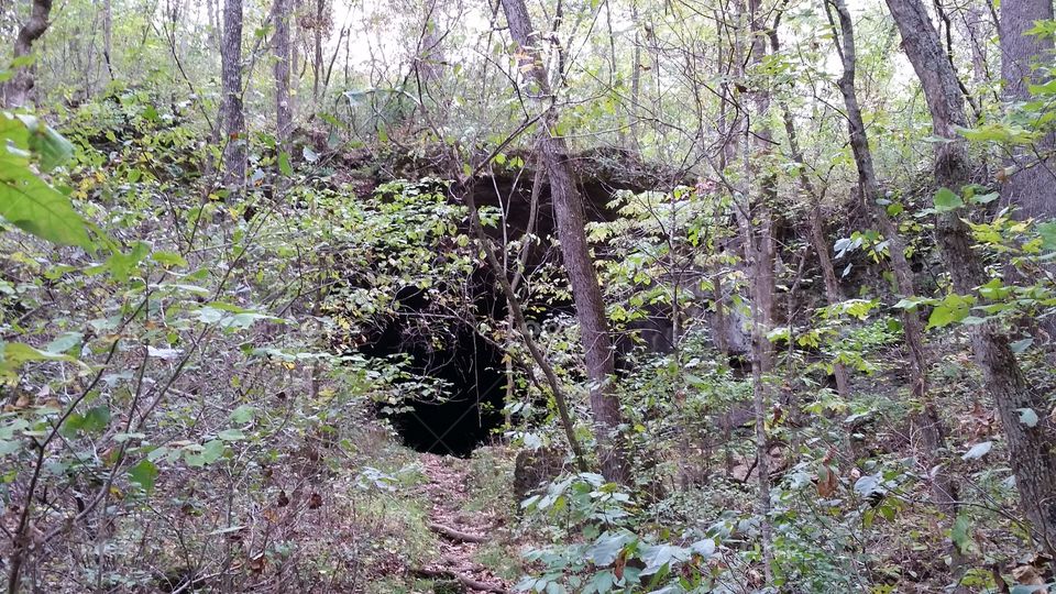 Cave Hollow